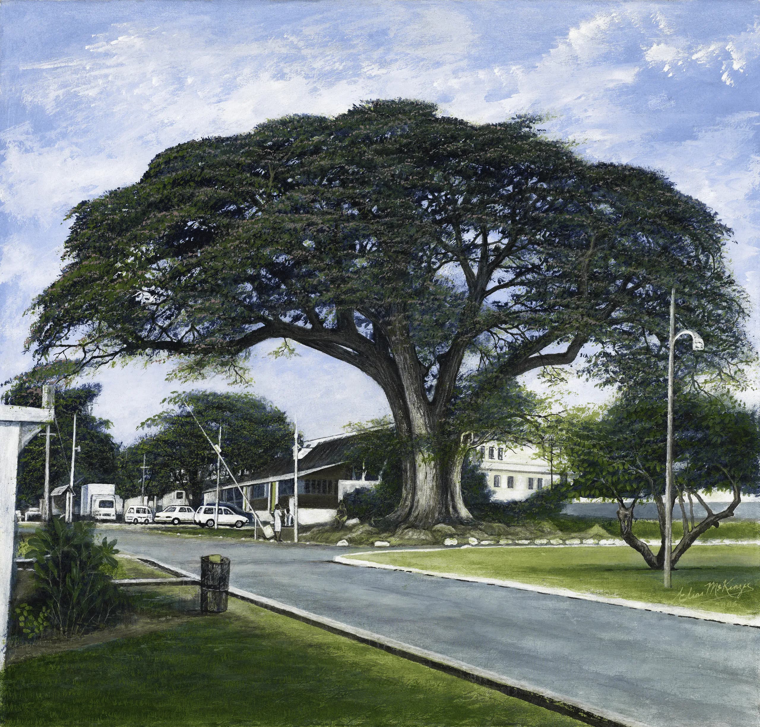 The Wisdom Tree