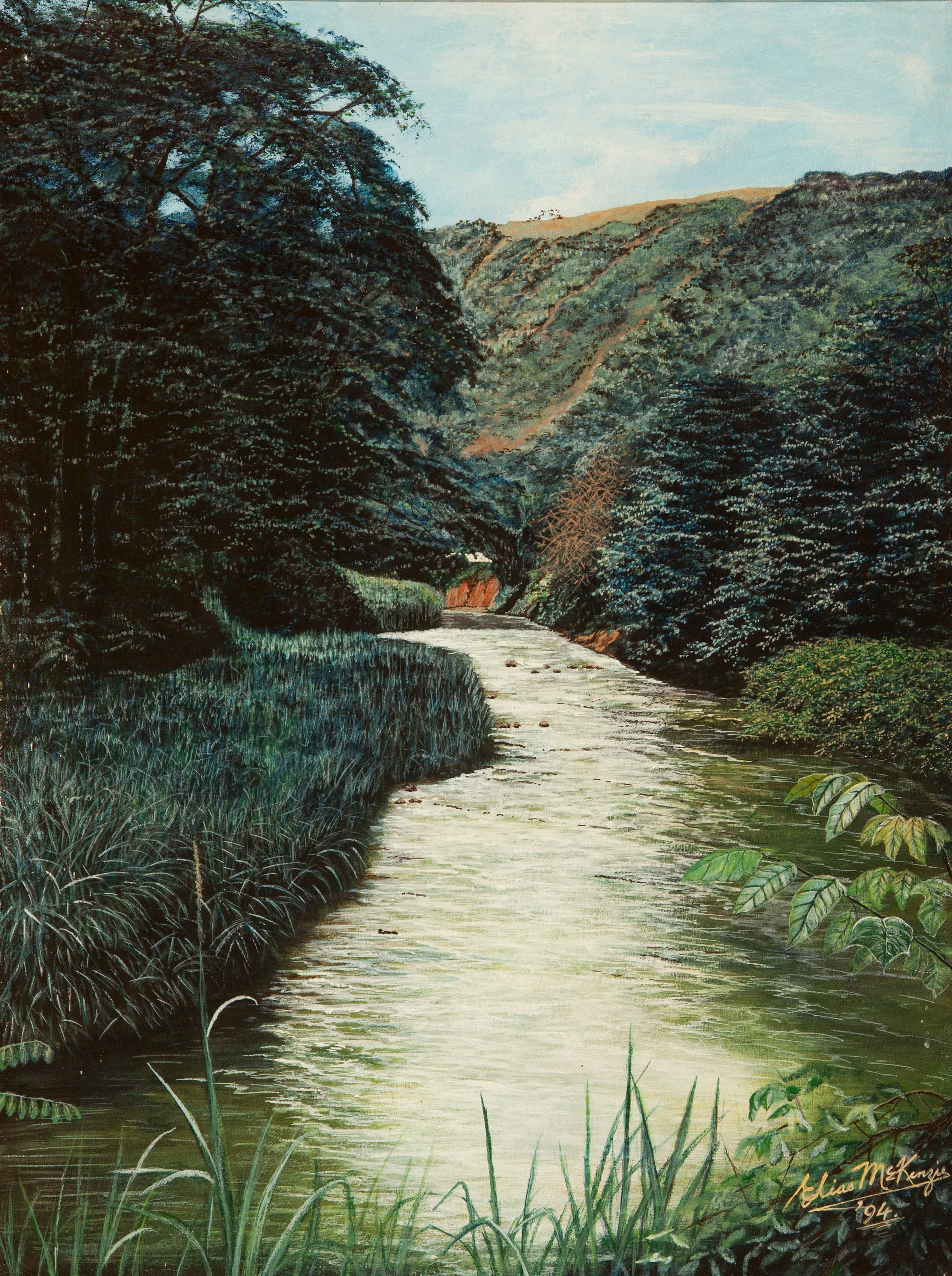 Rio Cobre Gorge